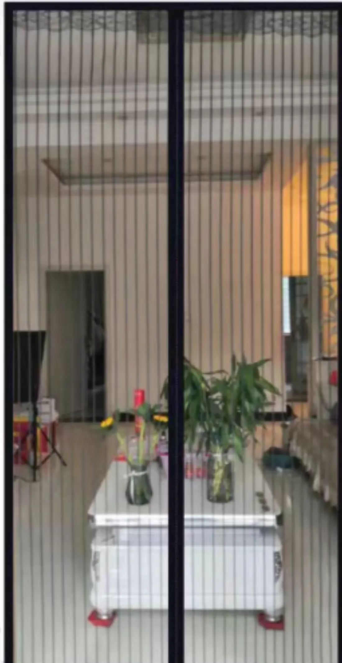 Magnetic closing mosquito net curtain for living room door